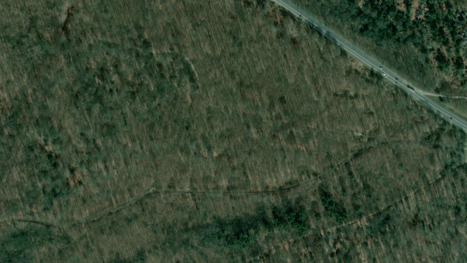 Satellite view of Fontainebleau, France